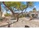 Spacious backyard with mature tree and swing at 2192 Geronimo Way, Las Vegas, NV 89169