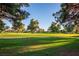 Landscaped backyard with green grass and mature trees at 796 Tam O Shanter, Las Vegas, NV 89109