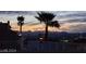 Sunset view from backyard with palm trees and mountains at 2235 High Dunes Ln, Laughlin, NV 89029