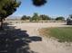 Large, mostly dirt backyard with patches of grass at 2651 Homestead Rd, Pahrump, NV 89048