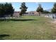 Large backyard with grassy area and mature trees at 2651 Homestead Rd, Pahrump, NV 89048