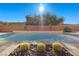 Inviting pool with cactus landscaping and brick wall at 39 Cranberry Cove Ct, Las Vegas, NV 89135