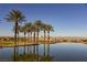 Calm lake reflecting palm trees and luxury homes at 30 Strada Di Villaggio # 115, Henderson, NV 89011