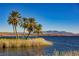 Scenic lake view with palm trees and distant mountains under a clear blue sky on a sunny day at 30 Strada Di Villaggio # 115, Henderson, NV 89011