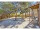 Backyard with picnic table and mature trees at 376 N 15Th St, Las Vegas, NV 89101