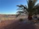 Backyard view with desert landscape beyond the fence at 7109 Bocaire Dr, Las Vegas, NV 89131