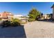 Gravel front yard with small trees and shrubs at 523 Fir St, Boulder City, NV 89005