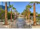 Lush walkway lined with palm trees leading to the pool, creating a resort-like atmosphere at 135 E Harmon Ave # 2721, Las Vegas, NV 89109