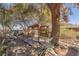 Backyard oasis featuring a pergola under a large tree at 1200 Cashman Dr, Las Vegas, NV 89102