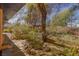 Landscaped backyard with stone pathway, lush plants, and a wooden pergola at 1200 Cashman Dr, Las Vegas, NV 89102