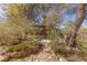 Landscaped backyard with stone pathway, lush plants, and a wooden pergola at 1200 Cashman Dr, Las Vegas, NV 89102