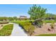 Landscaped community green space with walking path at 7906 Woolly St, Las Vegas, NV 89149