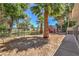 Large backyard with storage shed and dog run at 875 Cooper St, Overton, NV 89040