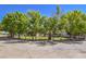 Landscaped front yard with mature trees and circular driveway at 875 Cooper St, Overton, NV 89040