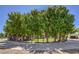 Landscaped front yard with mature trees and circular driveway at 875 Cooper St, Overton, NV 89040