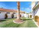 Landscaped side yard with mature palm tree at 1540 Castle Crest Dr, Las Vegas, NV 89117