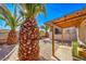 Backyard patio area with pergola and large palm trees at 2608 Spear St, North Las Vegas, NV 89030