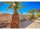 Backyard patio with palm trees and bar seating at 2608 Spear St, North Las Vegas, NV 89030