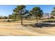 Scenic view of a beautiful golf course with mature trees at 2905 Legend Dr, Las Vegas, NV 89134