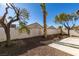 Sunny backyard with gravel landscaping and mature trees at 7305 Backstretch Ave, Las Vegas, NV 89130