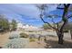 Landscaped pathway with desert plants and homes at 8808 Tom Noon Ave # 101, Las Vegas, NV 89178