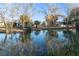 Scenic pond view of tranquil property with mature trees and houses at 4255 W State Highway 168, Moapa, NV 89025