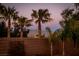 Landscaped backyard with mountain views and palm trees at 7620 Chase Hallow St, Las Vegas, NV 89149