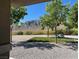 Backyard view with trees, grassy area, and mountain backdrop at 8068 Buena Vida St, Las Vegas, NV 89166