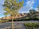 Landscaped lot with mature trees and mountain views at 8068 Buena Vida St, Las Vegas, NV 89166
