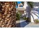 Pathway to front entrance, palm trees, and desert landscaping at 1608 Council Bluff Ln, North Las Vegas, NV 89031