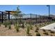 Landscaped area with drought-tolerant plants and a black metal fence at 1610 Dire Wolf Avenue, North Las Vegas, NV 89084