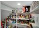 A fully stocked pantry with shelves neatly arranged with canned goods, spices, and kitchen appliances at 1610 Dire Wolf Avenue, North Las Vegas, NV 89084