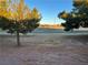 Landscaped backyard with golf course view at 3514 Old Course St, Las Vegas, NV 89122