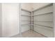 Bright and spacious pantry with ample shelving at 9780 Solar Ave, Las Vegas, NV 89149