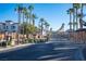 Gated community entrance with palm trees and fountain at 1525 Spiced Wine Ave # 23103, Henderson, NV 89074