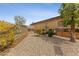 Landscaped garden with raised garden beds and various plants at 10372 Hawks Wing St, Las Vegas, NV 89178