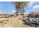 Landscaped backyard with mature trees and desert plants at 1230 Bruce St, Pahrump, NV 89048