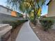 Curved walkway with landscaping and trees at 1908 W Hammer Ln, North Las Vegas, NV 89031