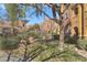 Landscaped courtyard with trees and sitting area at 3975 N Hualapai Way # 293, Las Vegas, NV 89129