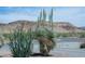 Desert landscape with yucca and ocotillo plants at 4351 W Bell Vista Ave, Pahrump, NV 89060