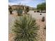 Landscaped yard with a yucca plant and desert plants in the foreground at 4351 W Bell Vista Ave, Pahrump, NV 89060