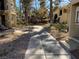 Paved walkway in a condo complex with trees at 601 Cabrillo Cir # 323, Henderson, NV 89015