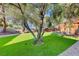 Expansive backyard with mature trees and green grass at 6640 Palmyra Ave, Las Vegas, NV 89146