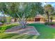 Mature trees and lush landscaping enhance curb appeal at 6640 Palmyra Ave, Las Vegas, NV 89146