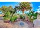 Landscaped yard with palm trees, cacti, and lush greenery at 6640 Palmyra Ave, Las Vegas, NV 89146