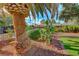 Palm tree, cacti, and manicured shrubs in front yard at 6640 Palmyra Ave, Las Vegas, NV 89146