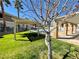 Landscaped pool area with pergola and grassy area at 833 Aspen Peak Loop # 1014, Henderson, NV 89011