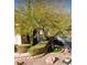 Landscaped front yard with mature trees and shrubs at 1173 Stormy Valley Rd, Las Vegas, NV 89123