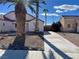 Well-maintained front yard with mature palm trees and a paved driveway at 2715 Coral Cliffs Ct, North Las Vegas, NV 89031