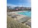 Community pool featuring lounge chairs, umbrellas, and manicured shrubbery at 7050 Fossil Rim St, Las Vegas, NV 89084
